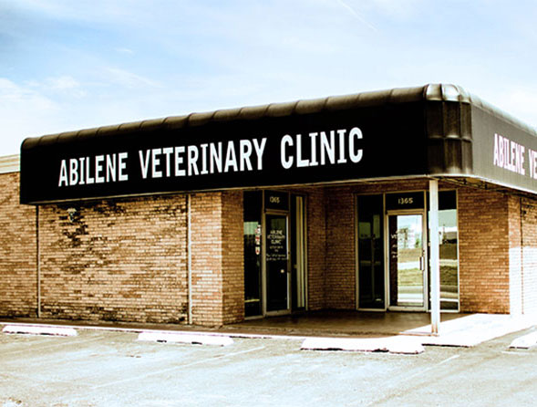 Veterinary Clinics in Abilene Texas