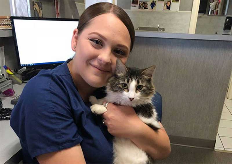 Carousel Slide 5: Preventative care for cats