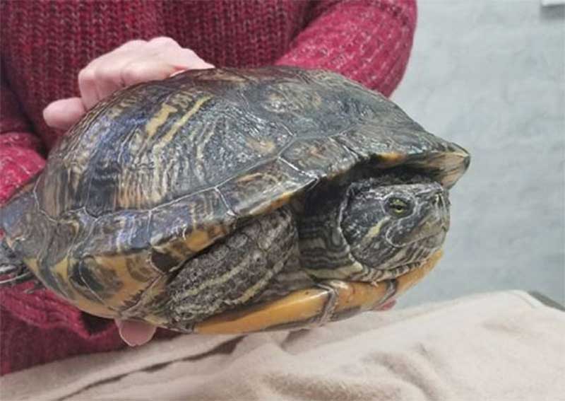 Carousel Slide 7: Exotic Animal Care in Abilene TX